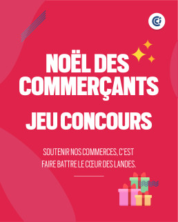 Jeu concours 2025 - Noel des commerçants CCI des Landes