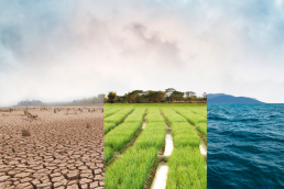 Trajectoire de réchauffement climatique