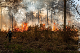 Incendie Biscarosse Juillet 2026 - Illustration du SDIS 40 Franck Fernandez