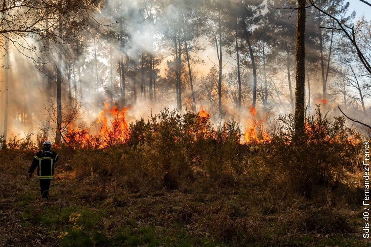 Incendie Biscarosse Juillet 2026 - Illustration du SDIS 40 Franck Fernandez
