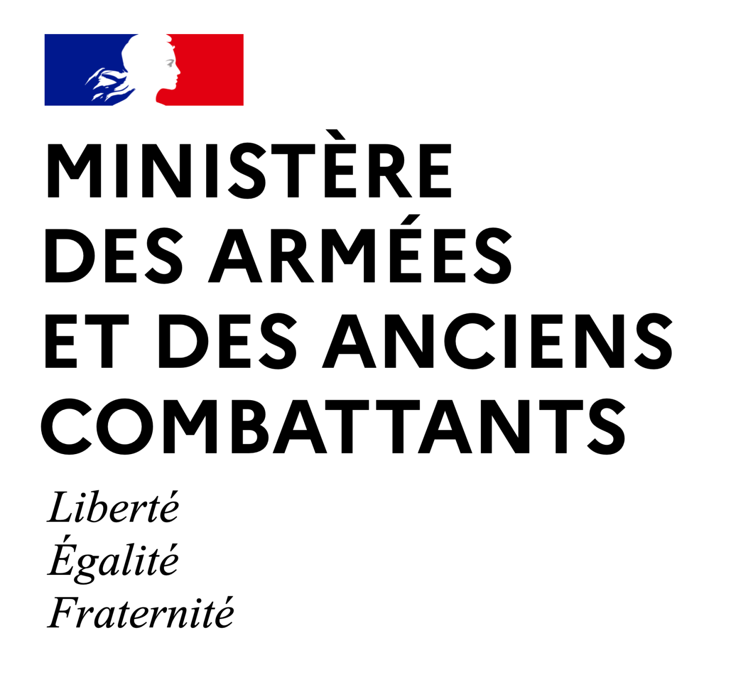 Minist&egrave;re des Arm&eacute;es et des Anciens Combattants